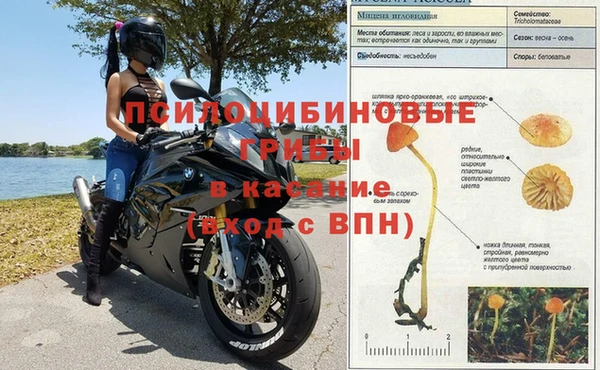 ALPHA PVP Михайлов